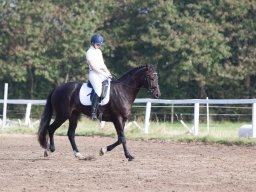 IMG_7837_web